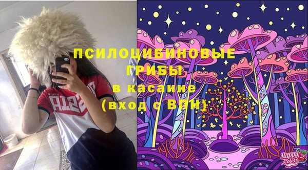 трава Сатка